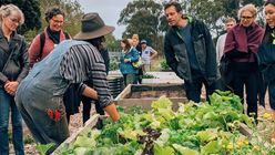 Local Food Market: Australia