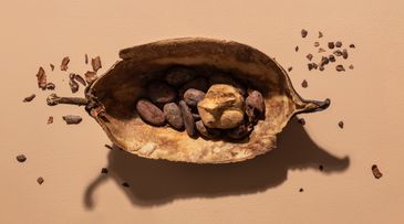 Is Cocoa Past Its Sell-By Date?