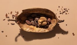 Is Cocoa Past Its Sell-By Date?