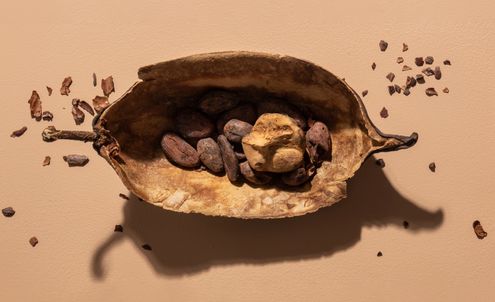 Is Cocoa Past Its Sell-By Date?