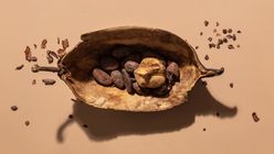 Is Cocoa Past Its Sell-By Date?