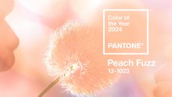 Peach Fuzz named Pantone’s colour of the year for 2024