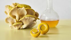 How Fungi will Colour the Future of Cosmetics